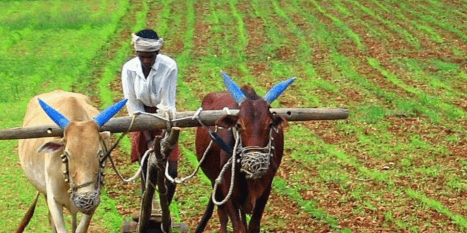 farmers of india